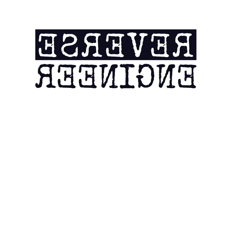 Reverse Engineer Softwareingenieur Developer