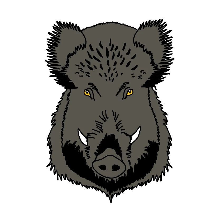 Wild boar head
