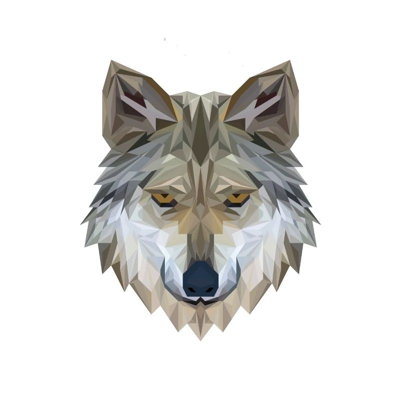 Wolf Face Polygon 3D