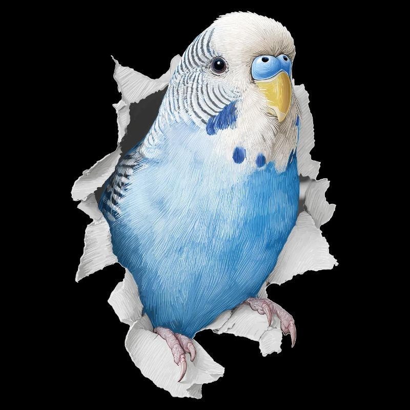Budgerigar