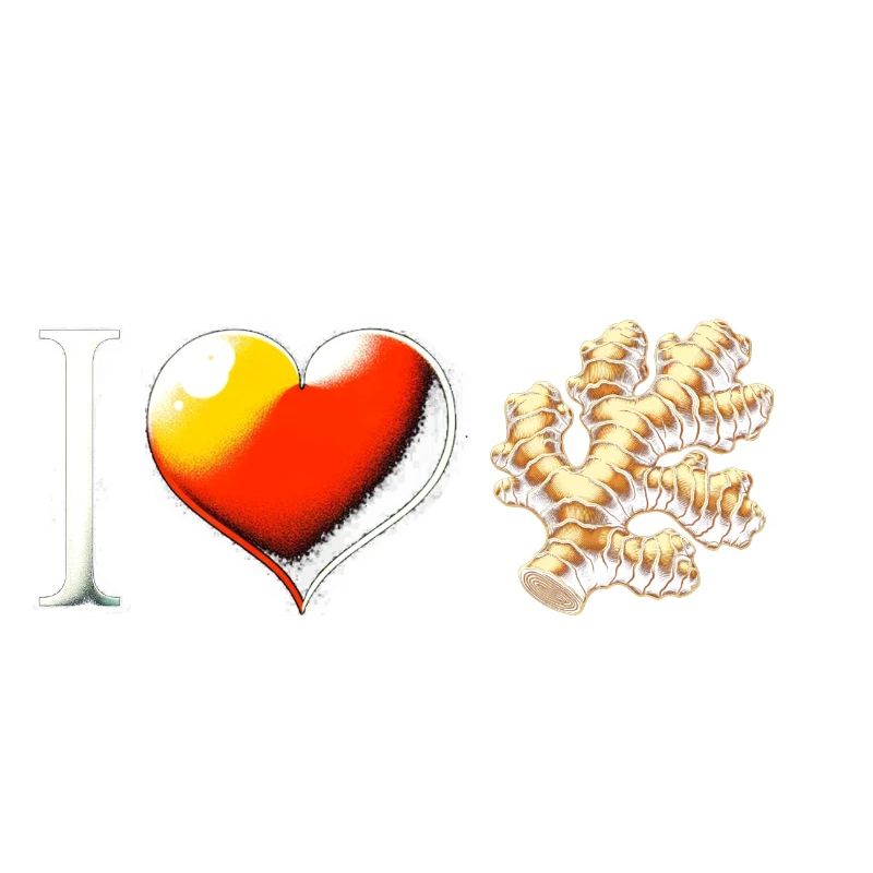 Gingembre