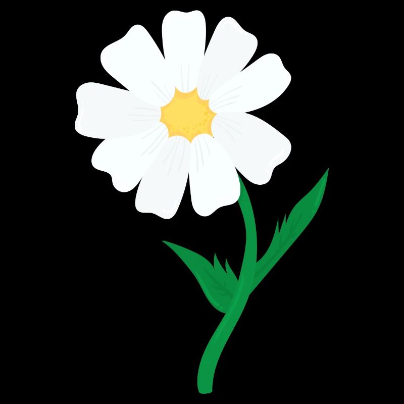 Gänseblümchen