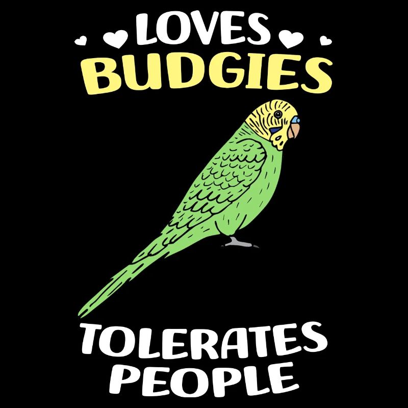 Oiseau Budgerigar