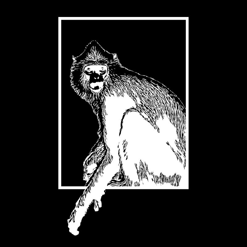 Monkey HanumanLangure