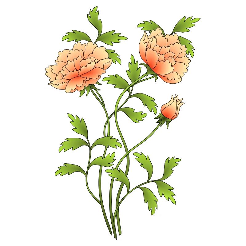 Fleur