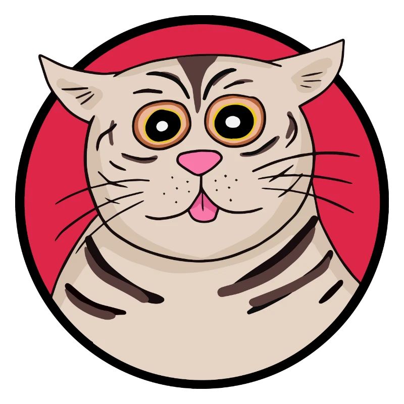 Chat étrange