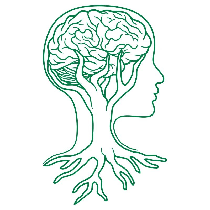 Brain tree human