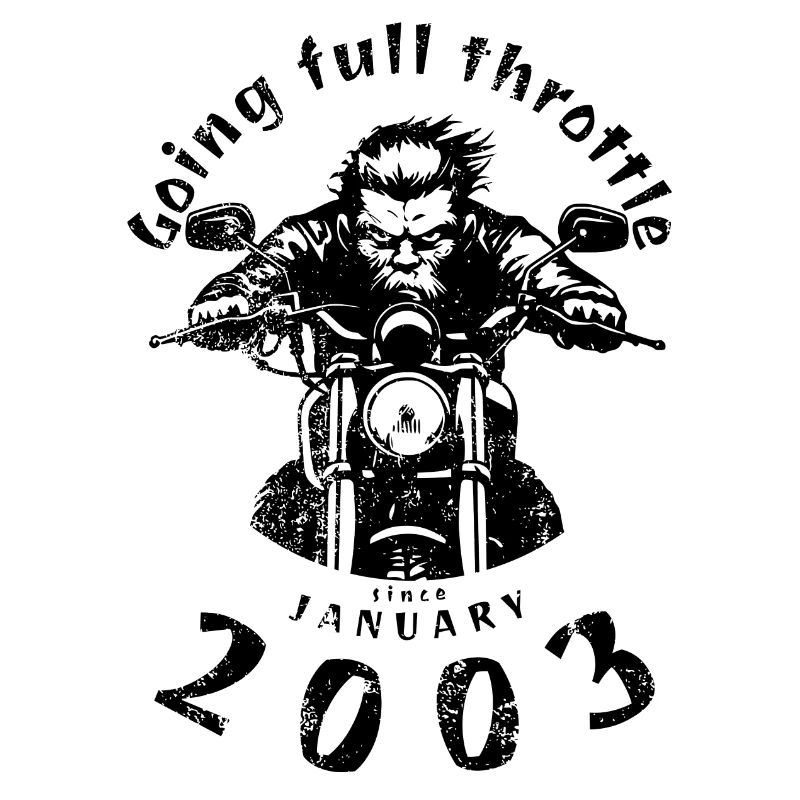 22. Geburtstag: Going full throttle since 01/2003