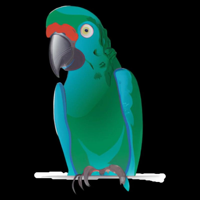 Parrot illustration