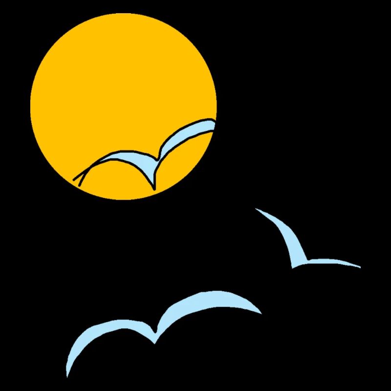 Sonne Möwen 02