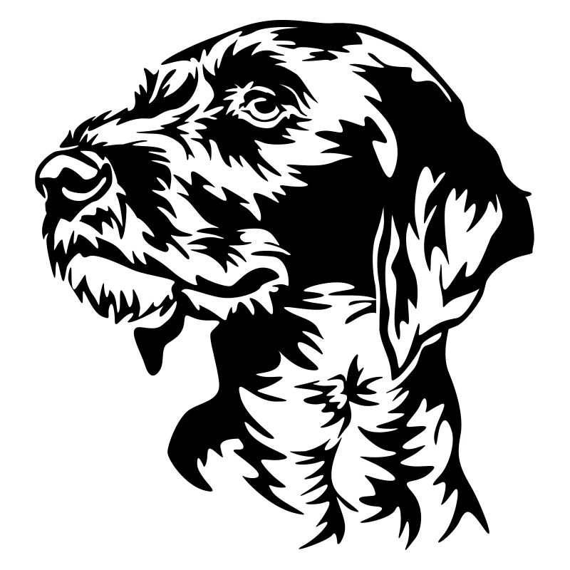 German Wirehaired Pointer head