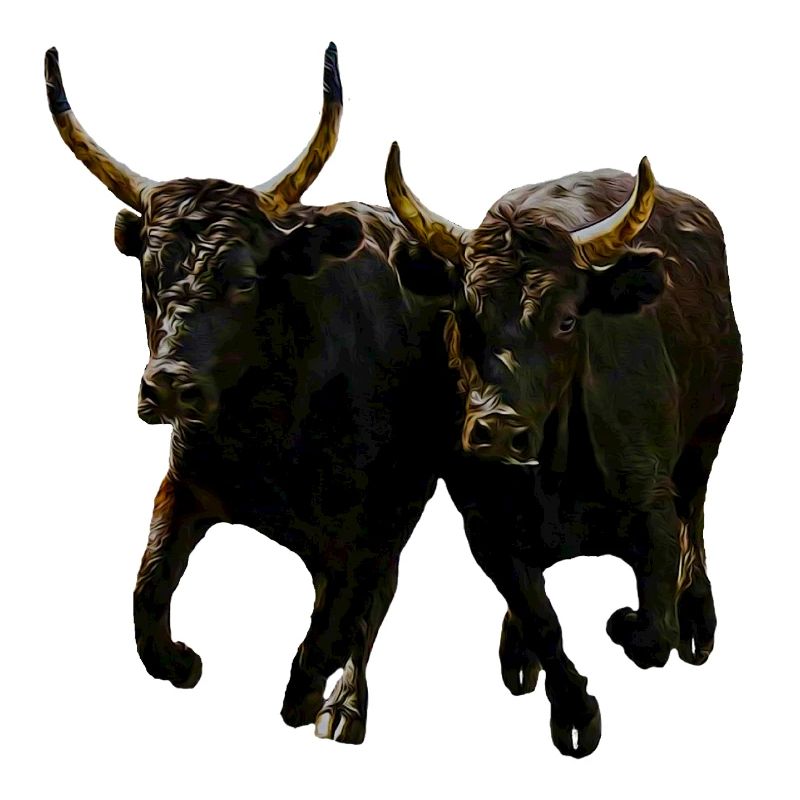 duo toro