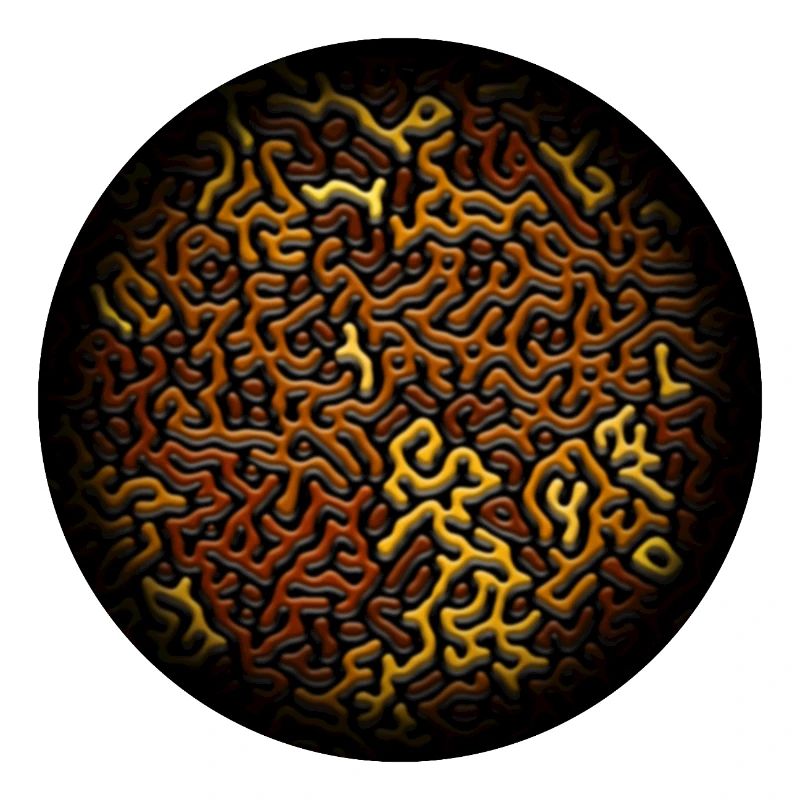 Turing Pattern