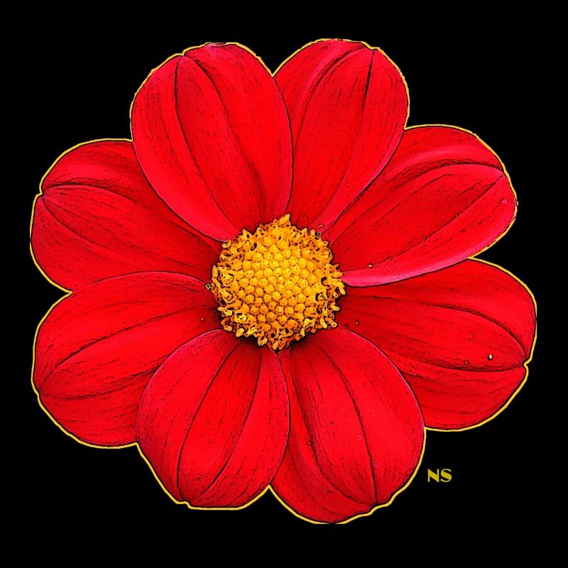 Rote Blume mit gelbem Herz