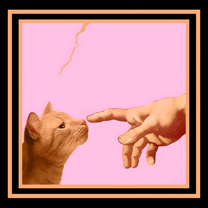 Chat