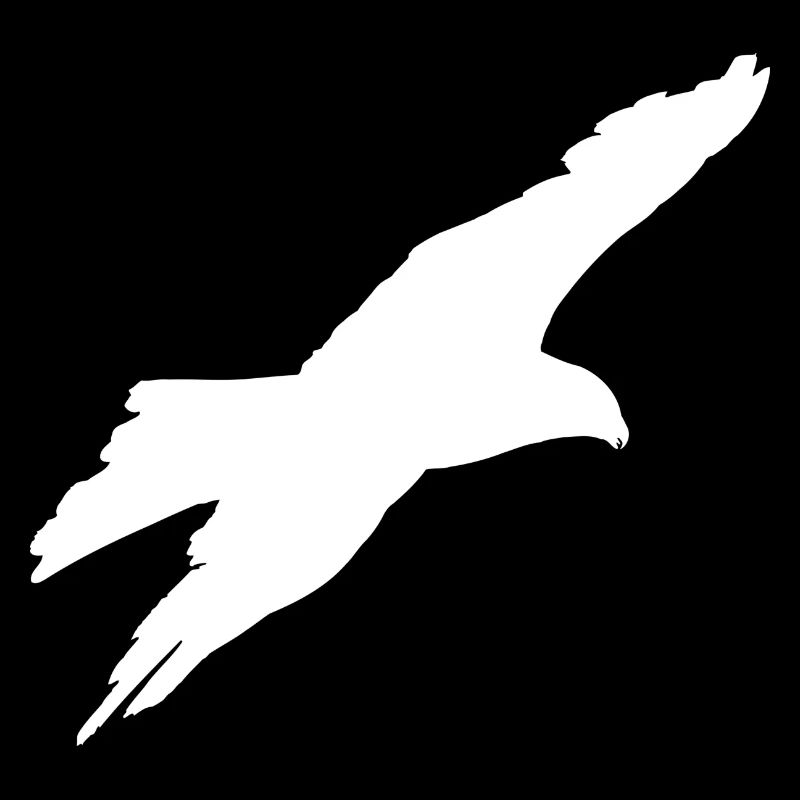gliding eagle