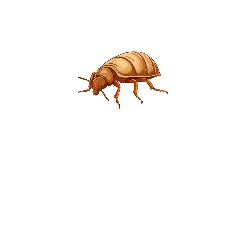Bed Bug Spreader Funny Bed Bugs Saying
