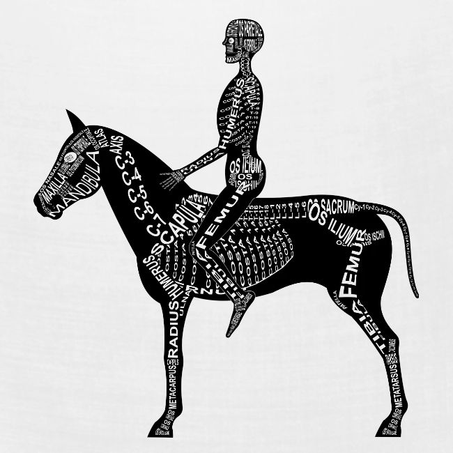 Squelette de l’onglet