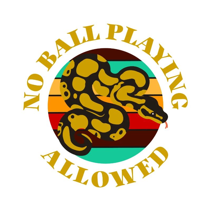 Ball Python Königspython Schlange