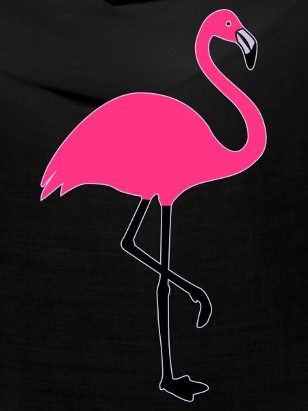 Flamingo summer sun beach