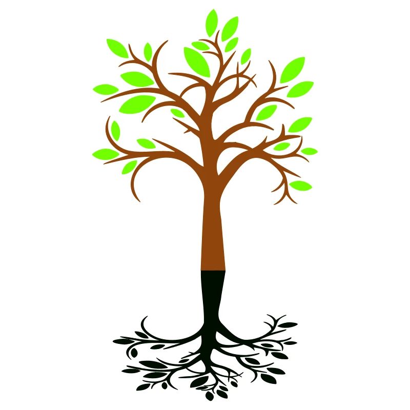 Beautiful Tree Forest Sapling Shadow Silhouette