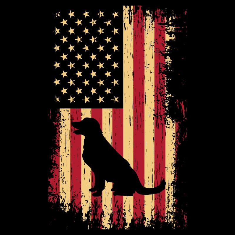 Drapeau des États-Unis du Labrador