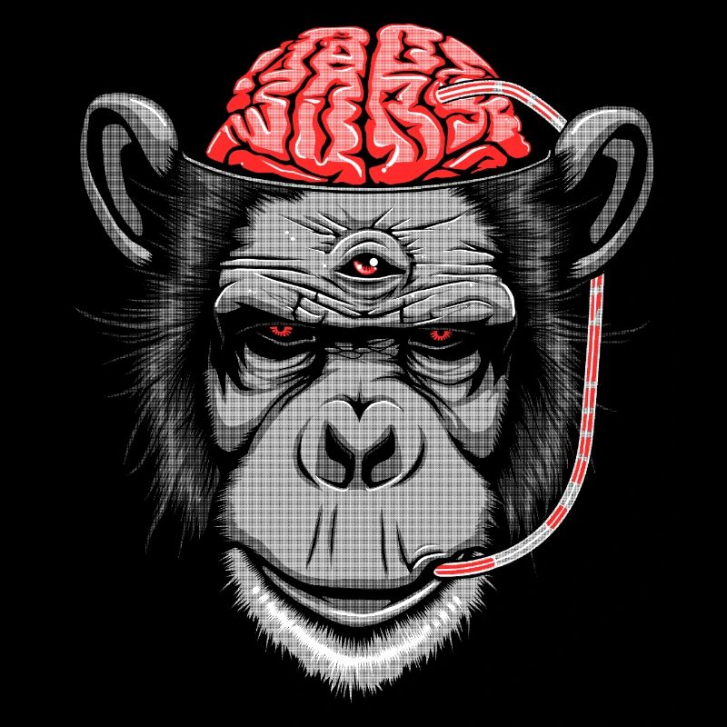 Brain Chimp 2