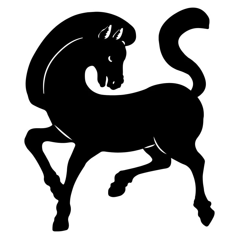 Image d’ombre de cheval année du cheval