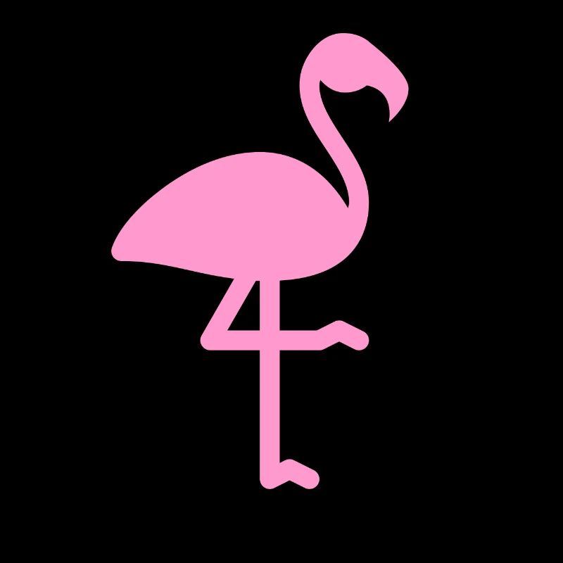 FLAMANT ROSE gift idea and tshirt