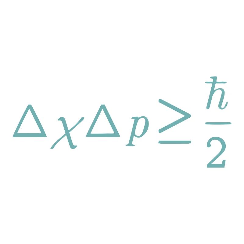Schrodinger equation quantum physics gift