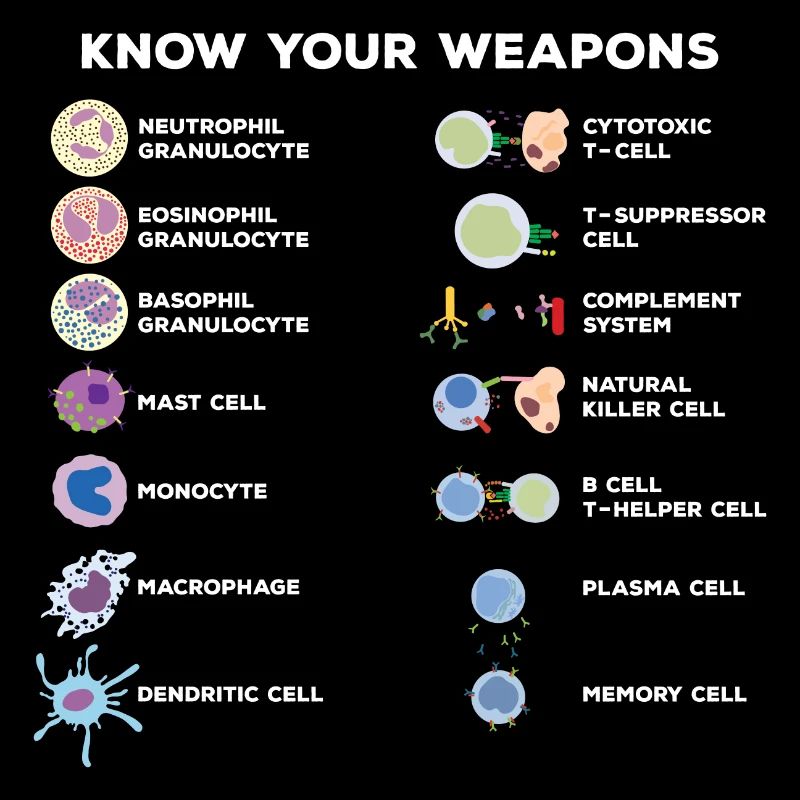 Science Expériences