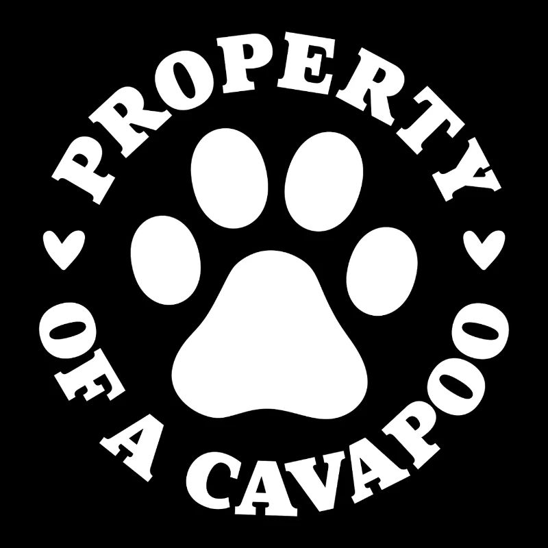 Eigentum eines Cavapoo