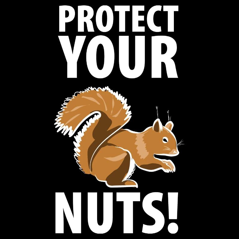 Squirrel Squirrel Thief Animal Keeper