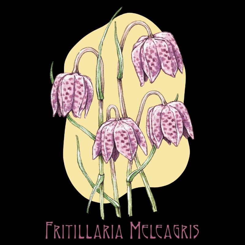 Cube checkerboard botanical drawing