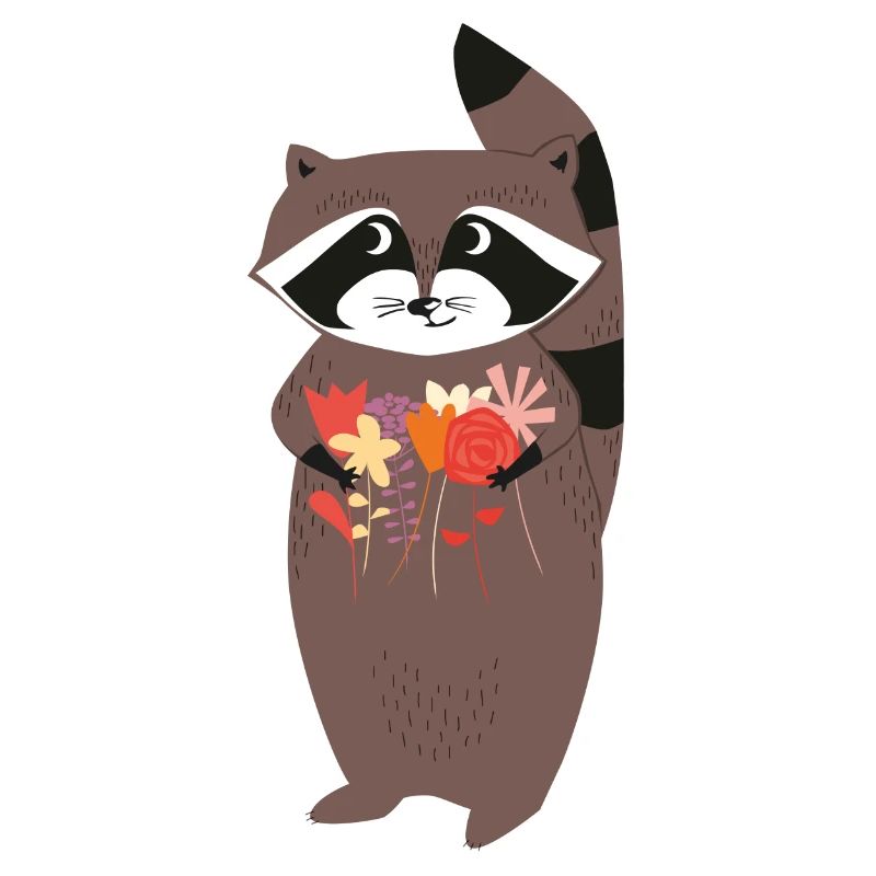 Racoon