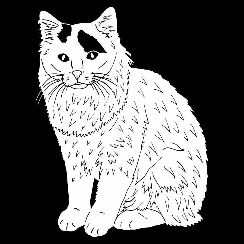 Türkisch Van Katze