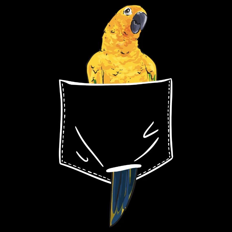 Perruche, Perroquet, Perruche, Oiseau