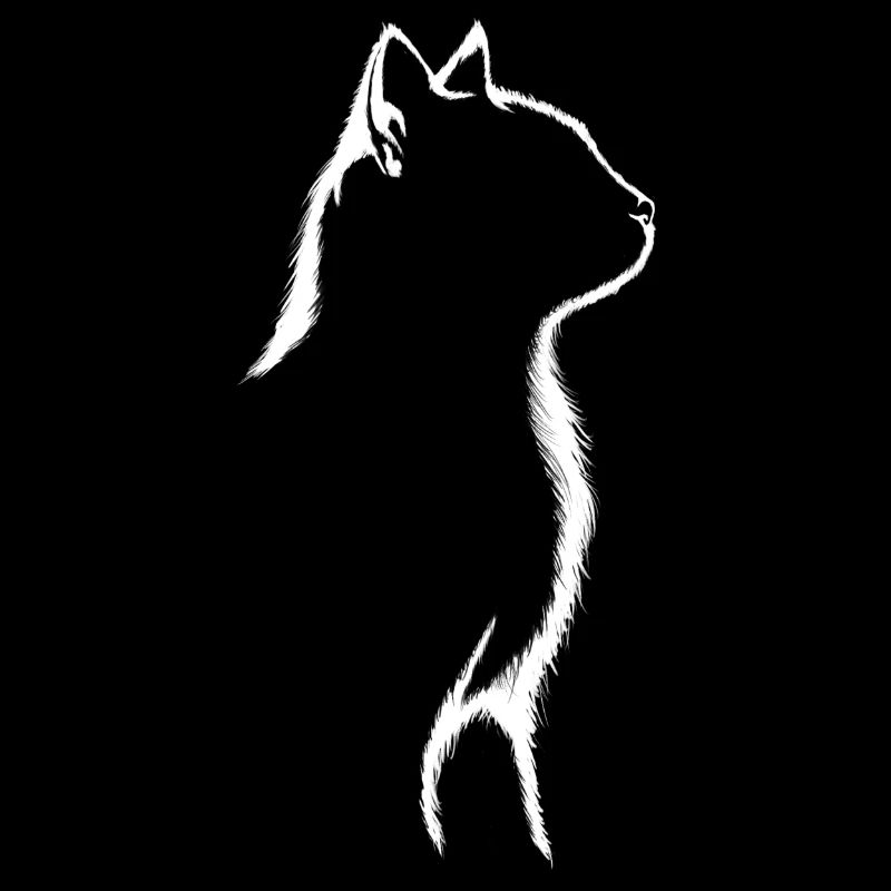 Silhouette de chat