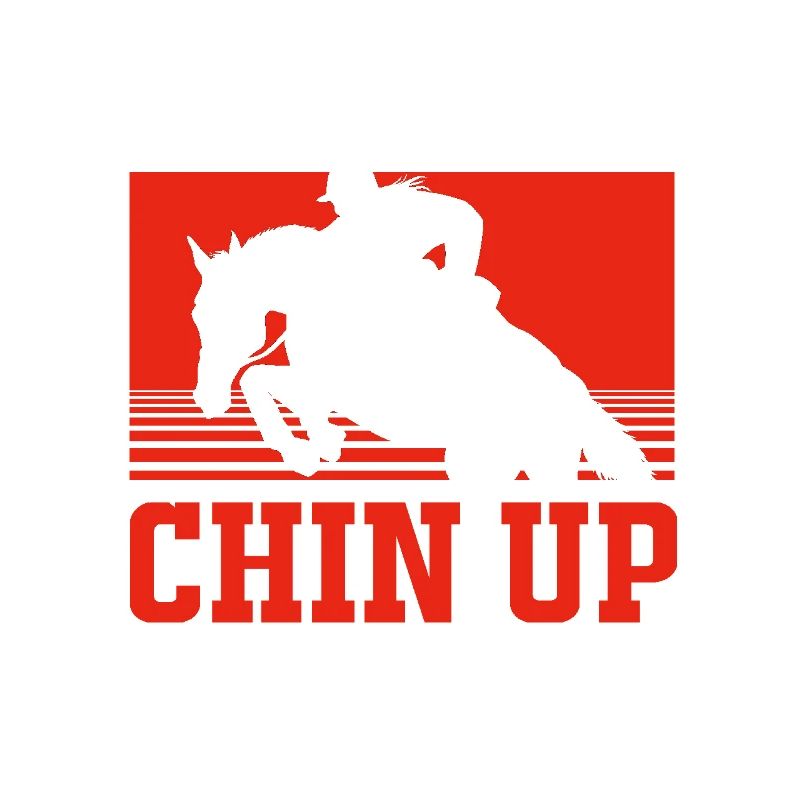 Springreiten Springpferd