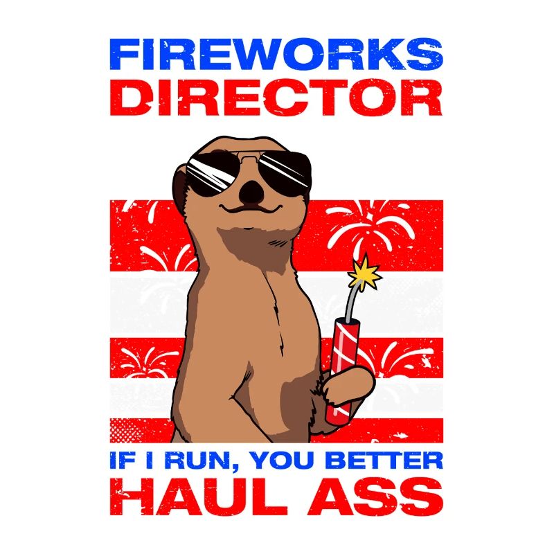 Fireworks director Pyrotechnician Firecrackers