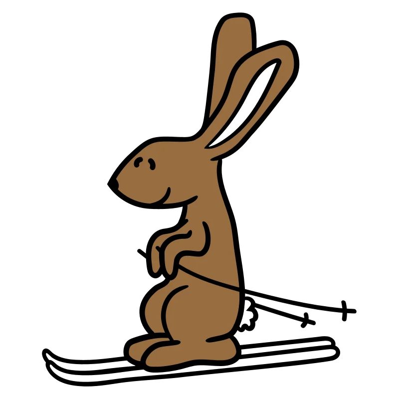 Rabbit Ski Bunny Skiing Winter Skiing Snow