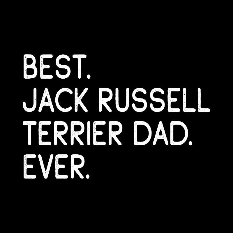 Jack Russell Terrier
