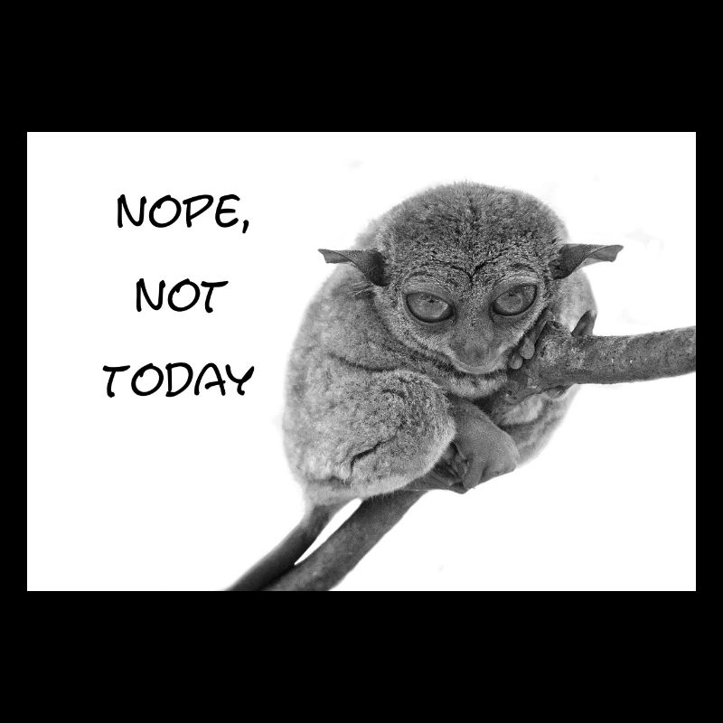 nope not today Tarsier Maki Affe Monkey