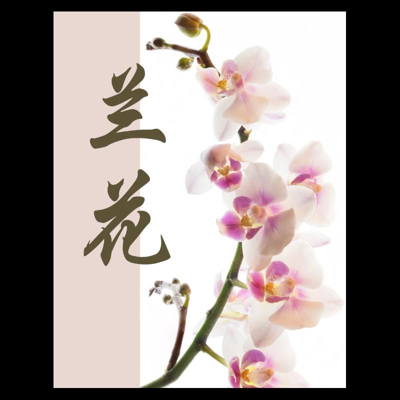 Orchidée