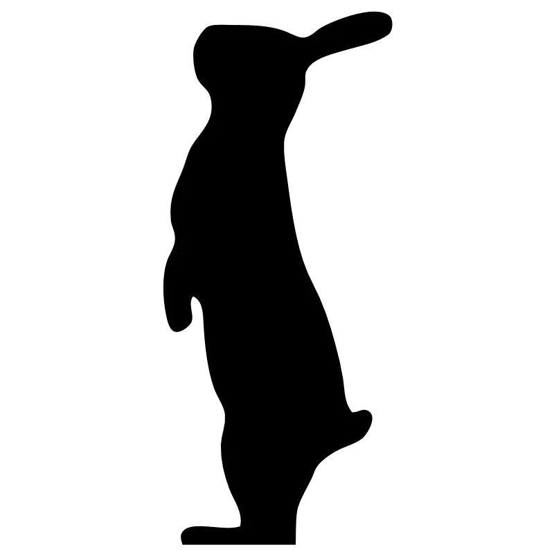 debout lapin bunny bunny lapin