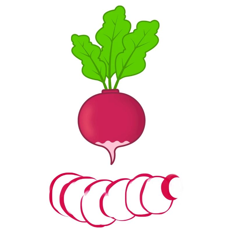 Rotes Radies mit Blättern Gemüse Radieschen