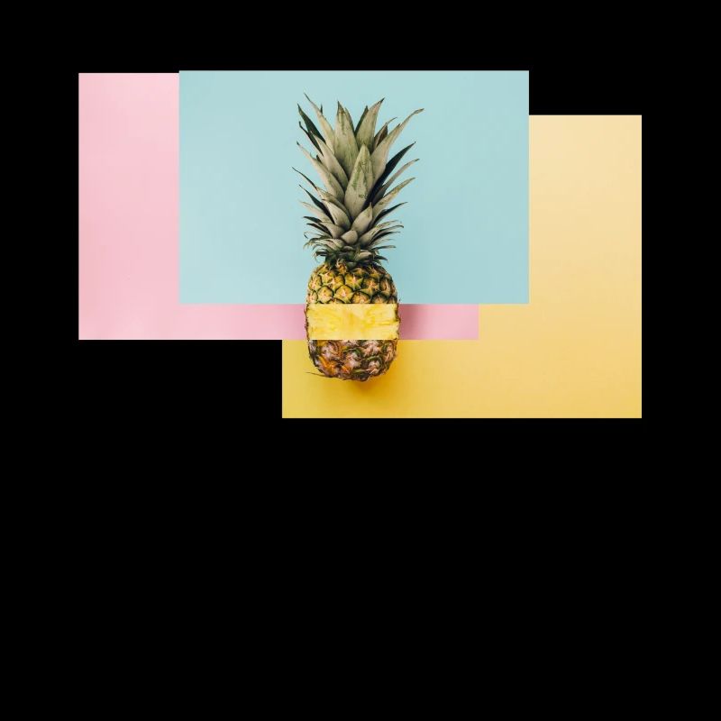 Bunte Ananas / Geschenk Idee