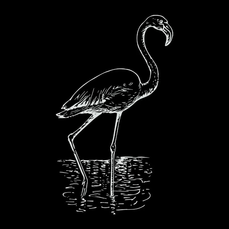Flamingo drawing