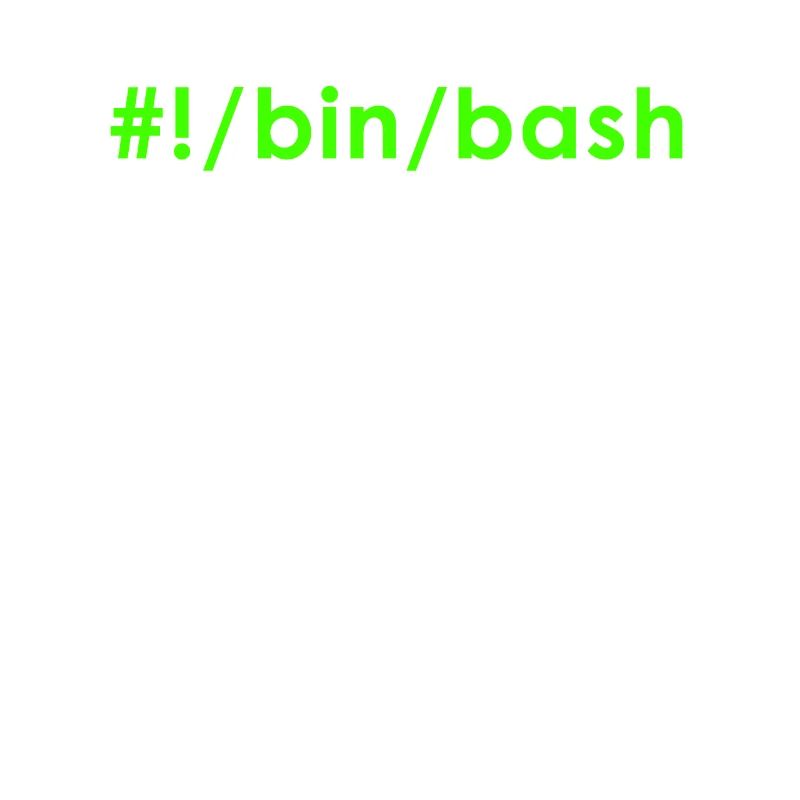 Linux bash