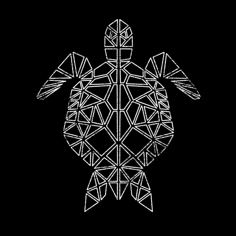 Turtle polygon geometric
